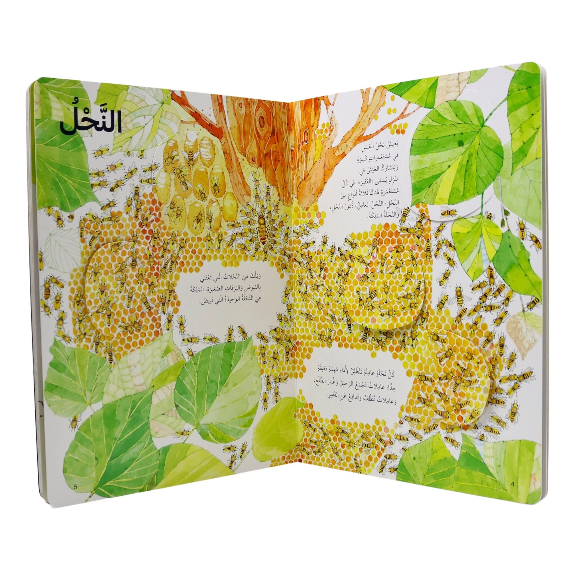 Image du produit 4